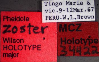 Media type: image;   Entomology 34422 Aspect: labels